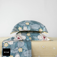 【HOLA】莉莉安天絲床包枕套三件組單人