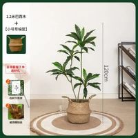 模擬綠植物盆栽天鵝絨巴西木高階輕奢北歐風室內客廳落地裝飾擺件