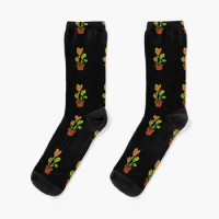 Botanical plant Carnivorous Plant Dionaea Musciplua | Venus Fly Trap Socks christmass gift sports and leisure Socks Man Women's