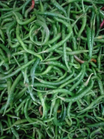 cabe keriting hijau