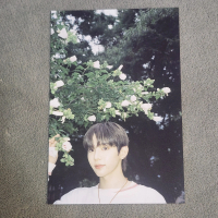 Shotaro Photo Print - Official from RIIZE Album RIIZING : EPILOGUE
