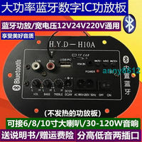 大功率低音炮功放板音響音箱主板110V~220V12V24V家庭車載可用 各型號 功放板