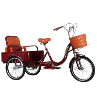 Permanent Elderly Human Tricycle Small Trolley Bicycle Pedal Bicycle Elderly Scooter