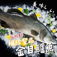 【一手鮮貨】台灣生態養殖金目鱸魚(4尾組/單尾殺清前750g)