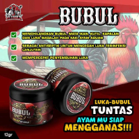 BUBUL OBAT AYAM BUBULAN langsung sembuh