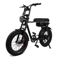 Tourwheel EU Warehouse Bicycle Adults 20inch Off Road Ebike Fat Tyre Elektrische Fiets Fatbike 250w Electric