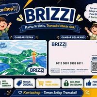 Brizzi Card