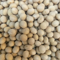 非基因改造黃豆 600g 豆漿 一斤  黃豆