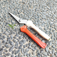 Gunting Prunning Bonsai Daun Akar Jepang