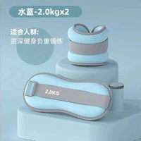 沙袋綁腿中老年人專用負重增肌抗阻腿部力量訓練跑步健身鐵砂沙包【藍色】4公斤（2公斤*2只）建議40-60歲