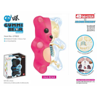 4d Pink Big Bear Transparent Perspective Animal Anatomy Skeleton Bone Puzzle Assembling Science Popularization Toy Children