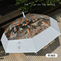 小紅書熱銷爆款雨傘可愛貓咪透明雨傘ins長柄傘防風防雨塑膠傘