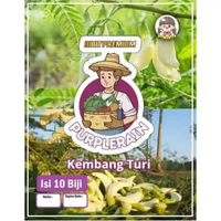 Bibit Premium Kembang Turi | Biji Benih Kembang Turi | Bunga Turi