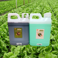 ปุ๋ยABไฮโดรโปนิกส์ ปุ๋ยน้ำ 1ชุดมีA1ลิตรB1ลิตร