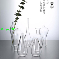 透明玻璃花瓶插花水養梅瓶禪意水晶擺件家居客廳裝飾日式水培花器