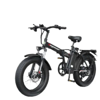 Ebike 1000W/2000W Adult Electric bike 48V12.8AH Foldable Electric bicycle 20 Inch Fat tyre Electric bike Snow E-bikes