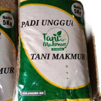 Benih padi kolosebo 02 kemasan 5kg, padi berbobot,tahan rebah, hasil melimpah