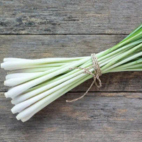 Serai Sere Pasar Bumbu Online Makassar Produk Asli Dari Makassar Bumbu Berkualitas Dari Pasar Terong