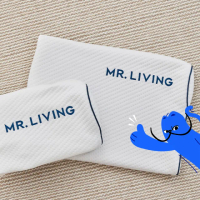 【MR. LIVING 居家先生】護頸減壓蝶型記憶枕-專用枕套(不適用於一般枕頭)
