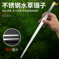 不銹鋼加長加硬干枯葉水草昆蟲彎頭鑷子魚缸夾子工具加厚超長大號