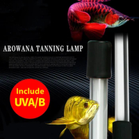 Zaohetian Arowana Use Tanning Light 2700K 6700K 13000K Led Aquarium Light Fish Tank Light Arowana Lamp