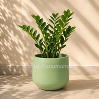 Pot Tanaman Gerabah/Tanah Liat Drum D25T25 Emerald