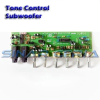 Stereo Tone Control Echo Digital Subwoofer 2 Microphone Channel -052