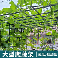 瓜架 網架 植物爬藤支架 花架 綠植花架子 苦瓜架 葡萄架子 葫蘆爬藤架 獼猴桃藤架 絲瓜百香果庭院戶外支架牽引 NTL