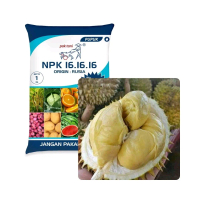 pupuk npk 161616 durian musang king