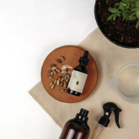 Planteria - Neem Oil Extract 60ml Premium Pestisida Nabati Organik Murni Minyak Nimba Alami Anti Ham