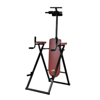 拉麗神 銀貂 倒立機 八合一多功能倒立運動機/伸展練習/引體向上+拉筋+單槓+雙槓+三頭肌 臂力訓練 健身機 運動輔助器