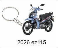 2026 ez115 green blue grey 2d keychain