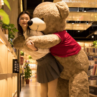 毛絨玩具大熊公仔特大號超大送女生閨蜜日禮物抱抱熊泰迪熊貓玩偶