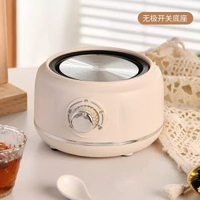 多功能養生杯電燉杯小型迷你加熱水杯煮茶養生壺熱牛奶辦公室
