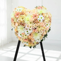 心型花圈 (桔梗、太陽花、西施菊、小菊及其他襯花) [FHW006] 喪禮 殯儀 告別式 追思會