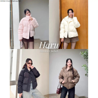 Thesummernade : Haru Down Jacket
