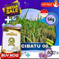 benih padi Cibatu , benih padi berkualitas super premium