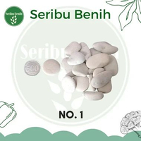 Batu Koral Putih - Coral Kupang Hiasan Taman Aquascape 10kg NO. 1
