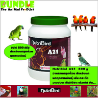 NutriBird  A21   800 g อาหารนกลูกป้อน สำหรับนก นกทุกสายพันธุ์ เช่น กระตั้ว อเมซอน เลิฟเบิร์ด ฟอพัส ซ