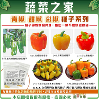 【蔬菜之家】青椒.甜椒.彩椒種子系列(各包裝數量詳見內文及圖片說明) 水果彩椒 長青綠甜椒 紅色甜椒