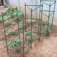 西紅柿架花卉支架番茄支架庭院植物包塑鋼管葡萄架月季花支架陽台 「店長推薦」