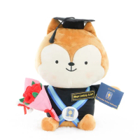 Boneka Wisuda DOTS + buket bunga Kado Wisuda