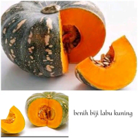 biji labu kuning /labu parang/labu kolak isi ( 7biji )ada bonus pembelian