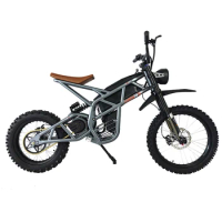 48v 500w 1500w 3000w Power Cheap Full Suspension Hybrid E-Bike Ebike Dirt Mountain Fat Tire Bicycle Electric Bike