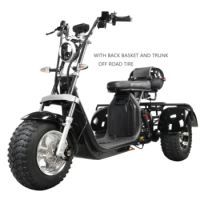 China 3wheel Three Speed Regulation Charge Power Mobility Scooter Three Wheel Electric Bike Tricycle Adult Motorcycle
