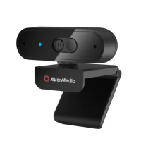 【AVerMedia 圓剛】PW310P 1080P 網路視訊攝影機(自動變焦)