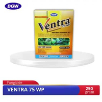 DGW - FUNGISIDA VENTRA 75 WP 250 Gram