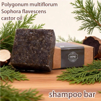 Arborvitae Leaf Shampoo Bar Square Ginger Dendrobium Shampoo 90g Soap H1I8