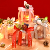 圣誕蘋果盒透明小盒子實用糖果盒節日裝飾品包裝盒塑料女生。禮盒1入