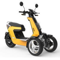72V 3000W Power electric scooters adults electric scooter 2000W 3 wheel e motorcycle electric rickshaw hm-xsd unisex tricycles